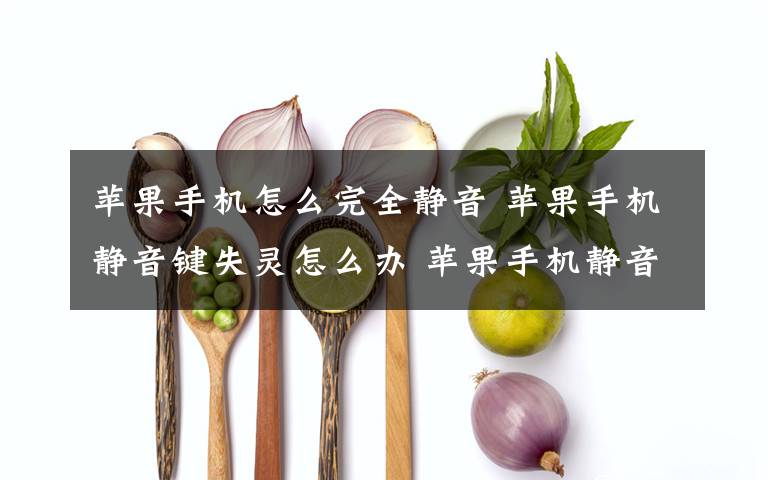 苹果手机怎么完全静音 苹果手机静音键失灵怎么办 苹果手机静音键失灵解决方法文章配图