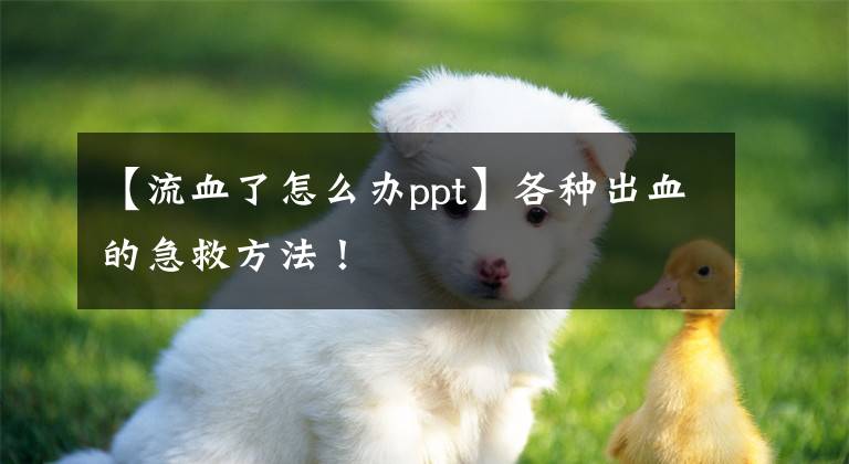 【流血了怎么办ppt】各种出血的急救方法！文章配图