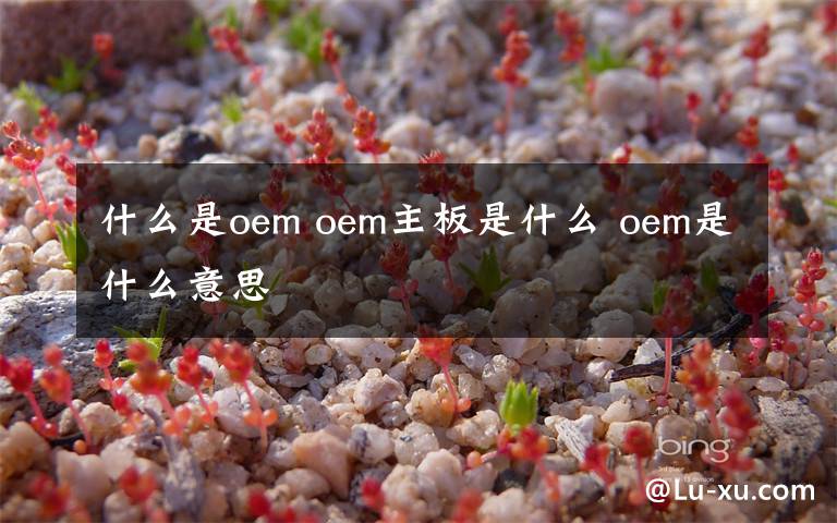 什么是oem oem主板是什么 oem是什么意思文章配图
