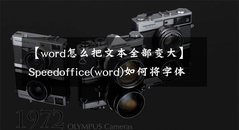 【word怎么把文本全部变大】Speedoffice(word)如何将字体大小提高一个数量级文章配图