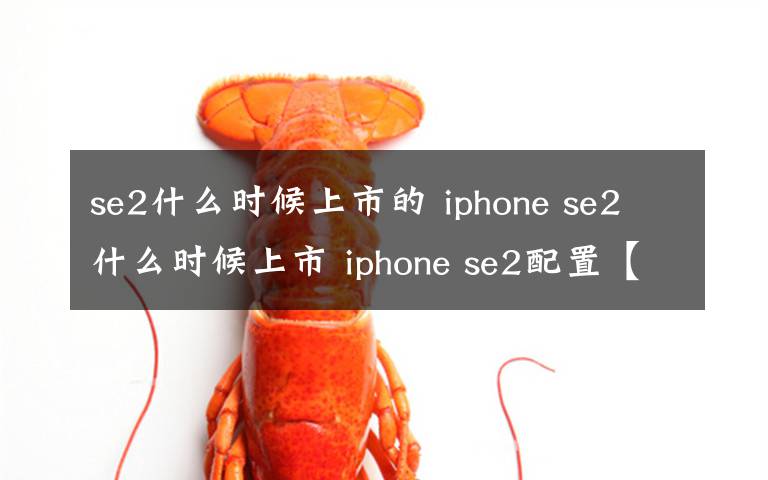 se2什么时候上市的 iphone se2什么时候上市 iphone se2配置【详解】