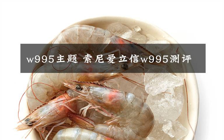 w995主题 索尼爱立信w995测评文章配图