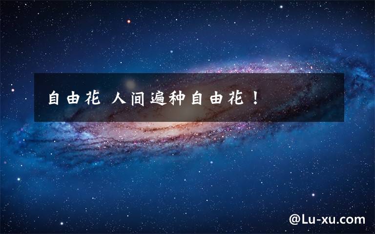 自由花 人间遍种自由花！文章配图