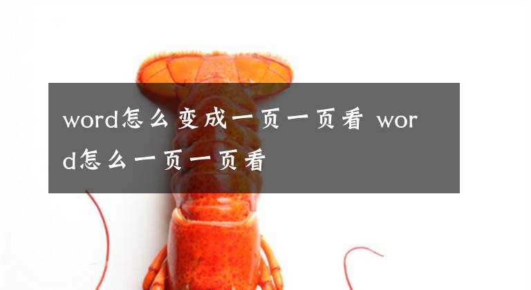 word怎么变成一页一页看 word怎么一页一页看文章配图