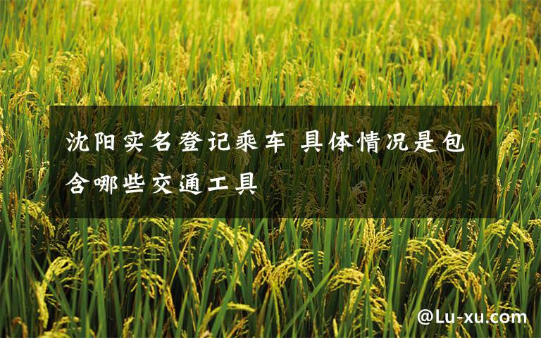 沈阳实名登记乘车 具体情况是包含哪些交通工具文章配图