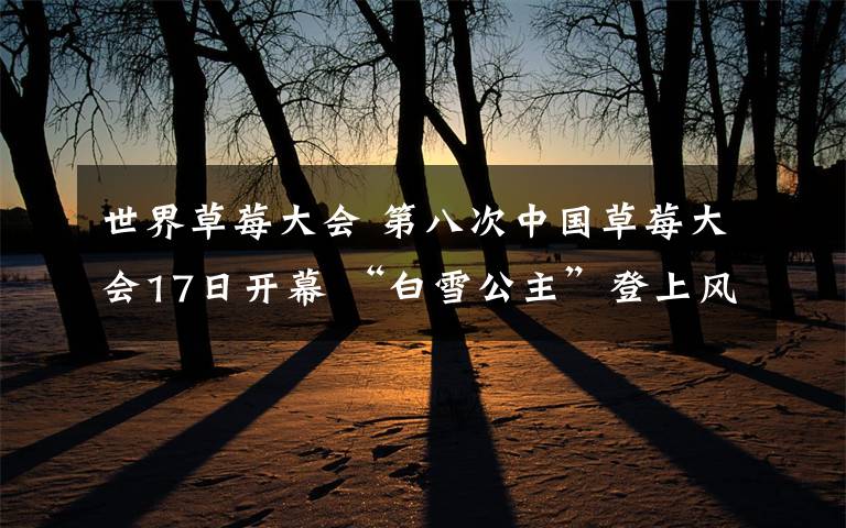 世界草莓大会 第八次中国草莓大会17日开幕 “白雪公主”登上风云榜首文章配图