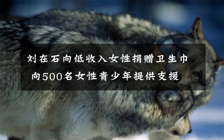 刘在石向低收入女性捐赠卫生巾 向500名女性青少年提供支援文章配图