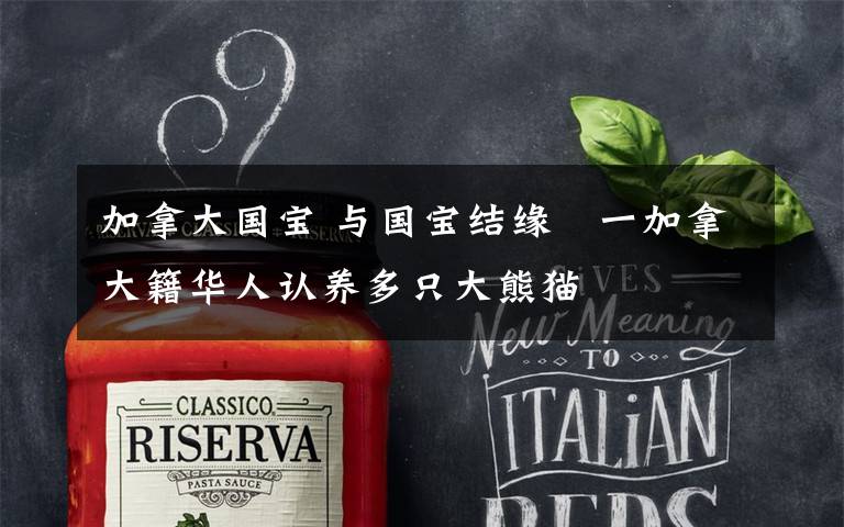 加拿大国宝 与国宝结缘　一加拿大籍华人认养多只大熊猫文章配图