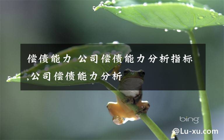 偿债能力 公司偿债能力分析指标,公司偿债能力分析文章配图