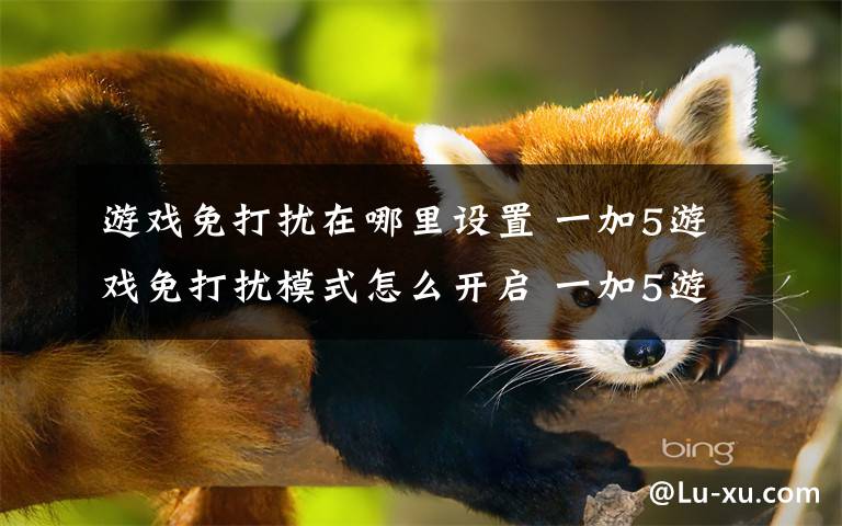 游戏免打扰在哪里设置 一加5游戏免打扰模式怎么开启 一加5游戏免打扰模式开启步骤文章配图