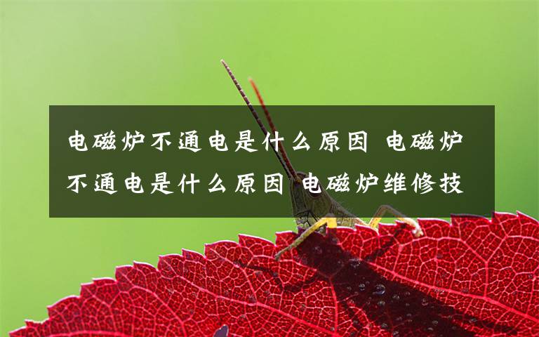 电磁炉不通电是什么原因 电磁炉不通电是什么原因 电磁炉维修技巧文章配图