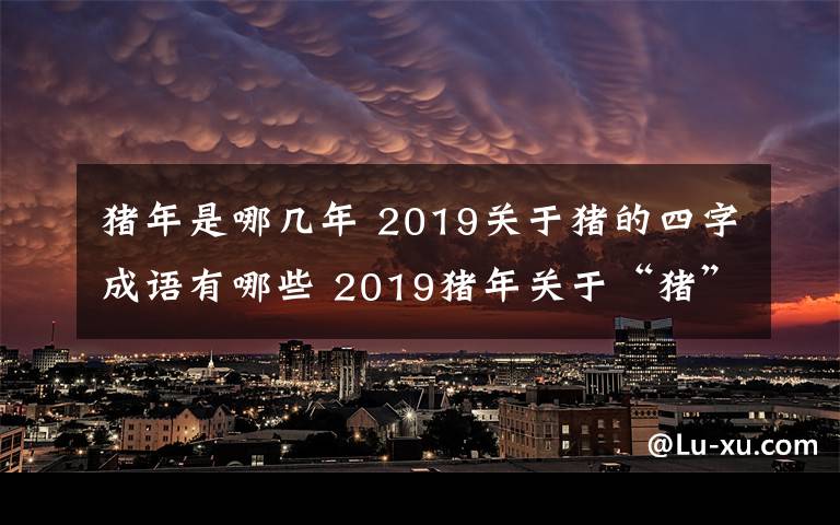 猪年是哪几年 2019关于猪的四字成语有哪些 2019猪年关于“猪”的歇后语一览文章配图