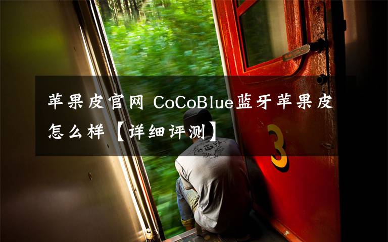 苹果皮官网 CoCoBlue蓝牙苹果皮怎么样【详细评测】文章配图