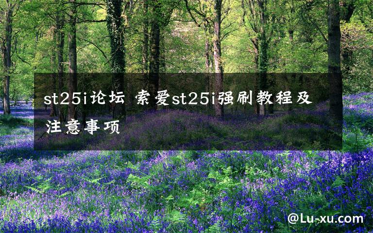 st25i论坛 索爱st25i强刷教程及注意事项文章配图