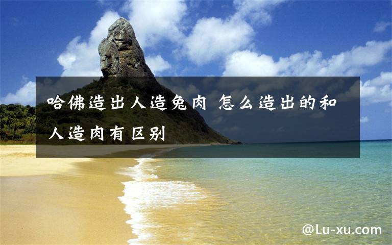 哈佛造出人造兔肉 怎么造出的和人造肉有区别文章配图