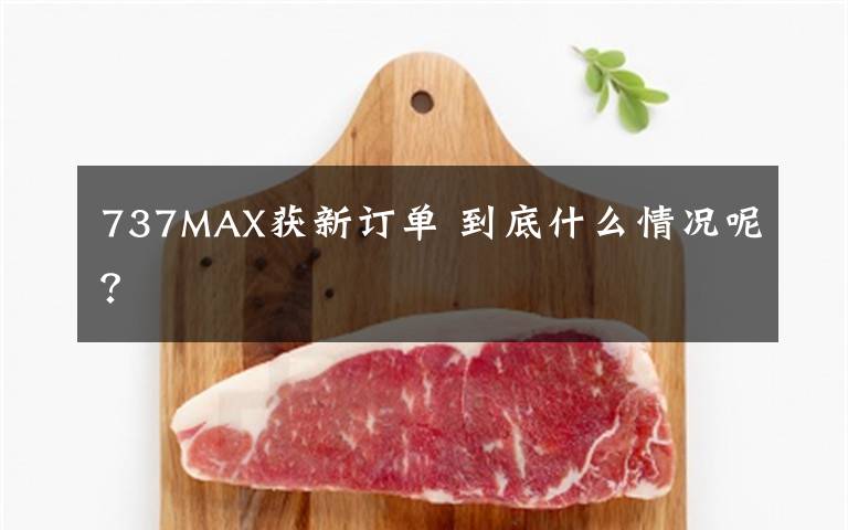 737MAX获新订单 到底什么情况呢？文章配图