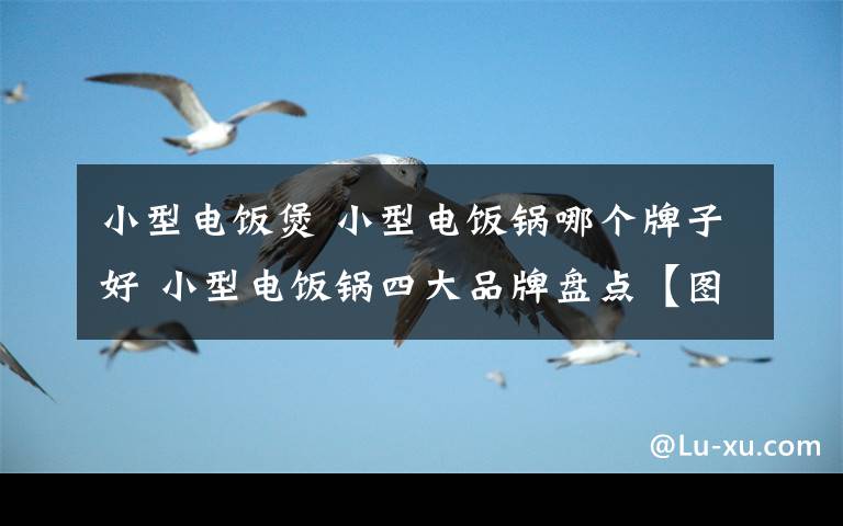 小型电饭煲 小型电饭锅哪个牌子好 小型电饭锅四大品牌盘点【图文】文章配图