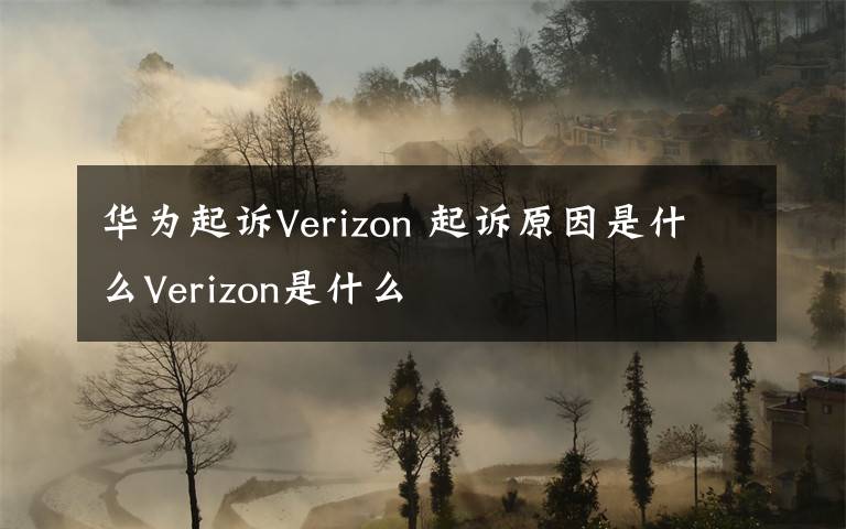 华为起诉Verizon 起诉原因是什么Verizon是什么文章配图