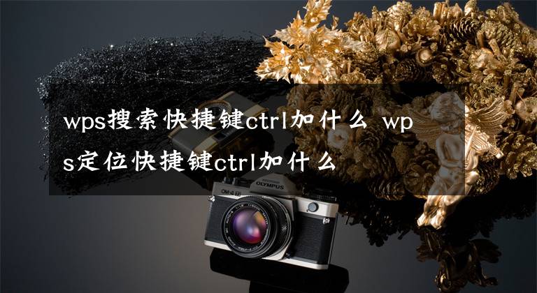 wps搜索快捷键ctrl加什么 wps定位快捷键ctrl加什么