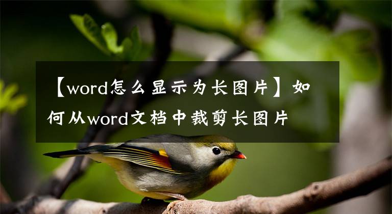 【word怎么显示为长图片】如何从word文档中裁剪长图片文章配图