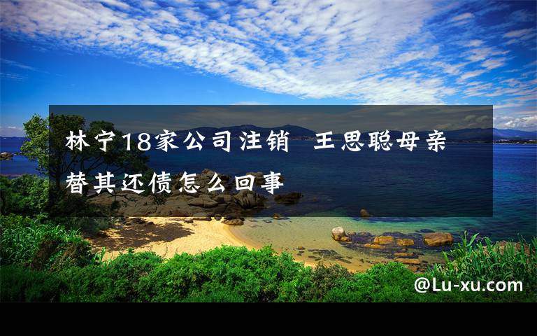 林宁18家公司注销  王思聪母亲替其还债怎么回事