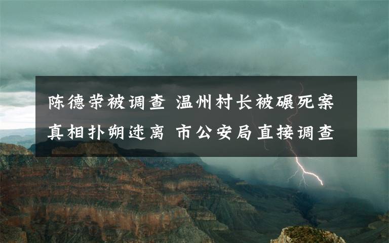 陈德荣被调查 温州村长被碾死案真相扑朔迷离 市公安局直接调查