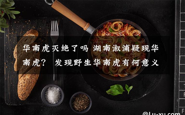 华南虎灭绝了吗 湖南溆浦疑现华南虎？ 发现野生华南虎有何意义