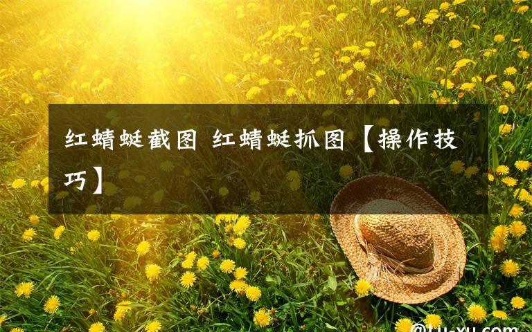 红蜻蜓截图 红蜻蜓抓图【操作技巧】文章配图