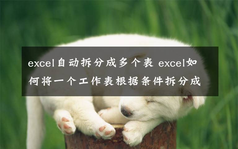 excel自动拆分成多个表 excel如何将一个工作表根据条件拆分成多个工作表文章配图