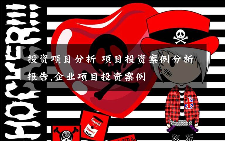 投资项目分析 项目投资案例分析报告,企业项目投资案例文章配图