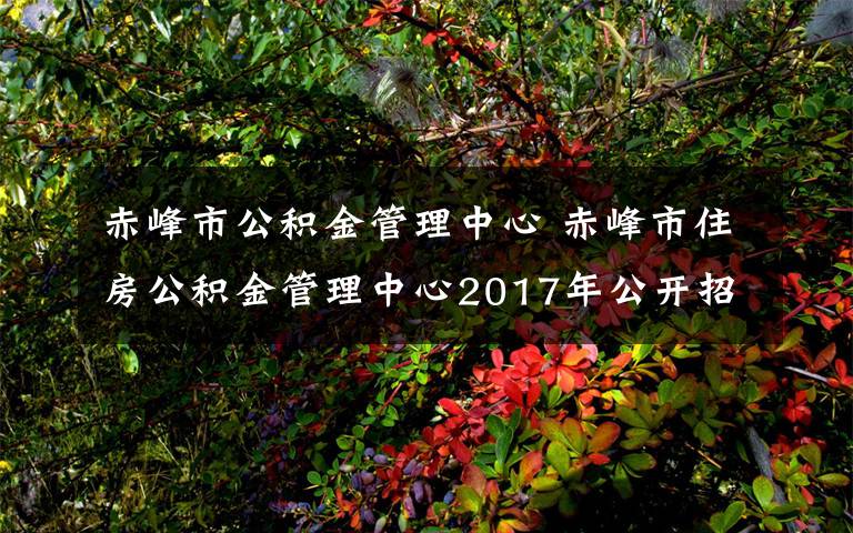 赤峰市公积金管理中心 赤峰市住房公积金管理中心2017年公开招聘工作人员公告