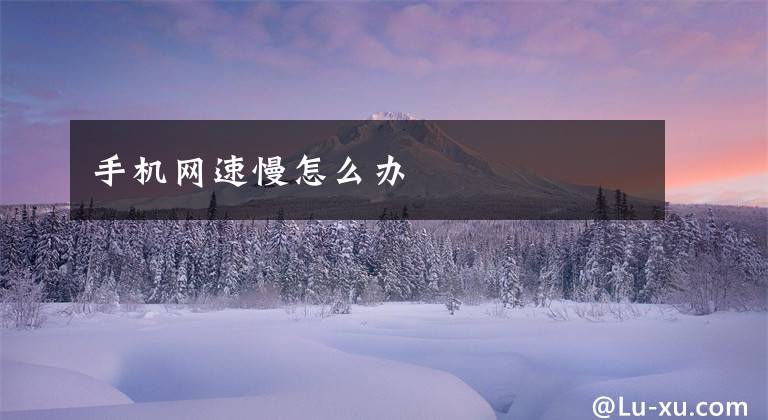 手机网速慢怎么办文章配图