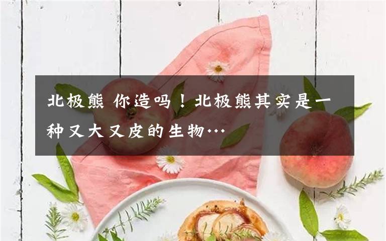 北极熊 你造吗！北极熊其实是一种又大又皮的生物…文章配图