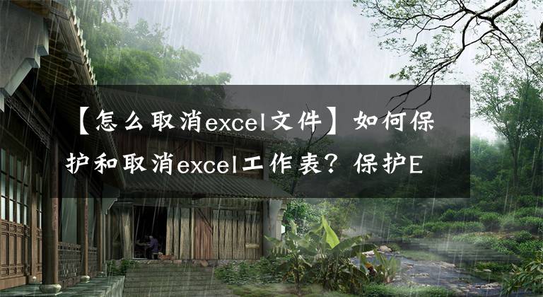 【怎么取消excel文件】如何保护和取消excel工作表？保护EXCEL设置工作表和内容文章配图