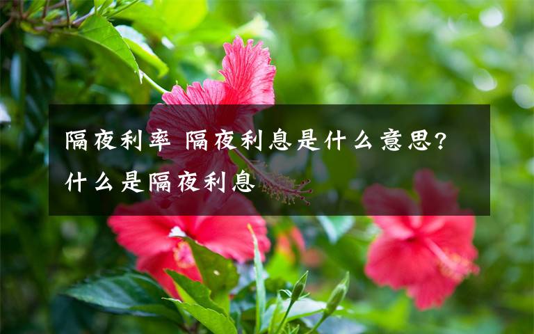 隔夜利率 隔夜利息是什么意思?什么是隔夜利息文章配图