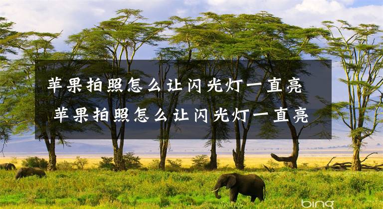 苹果拍照怎么让闪光灯一直亮 苹果拍照怎么让闪光灯一直亮着文章配图
