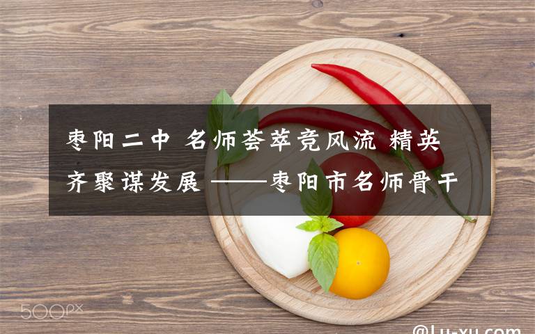 枣阳二中 名师荟萃竞风流 精英齐聚谋发展 ——枣阳市名师骨干教师培训班活动剪影文章配图