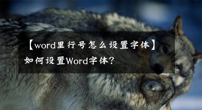 【word里行号怎么设置字体】如何设置Word字体？