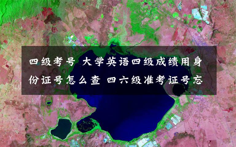 四级考号 大学英语四级成绩用身份证号怎么查 四六级准考证号忘了怎么办文章配图