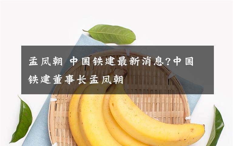 孟凤朝 中国铁建最新消息?中国铁建董事长孟凤朝文章配图