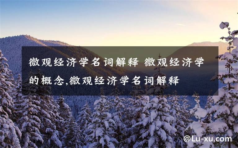 微观经济学名词解释 微观经济学的概念,微观经济学名词解释文章配图