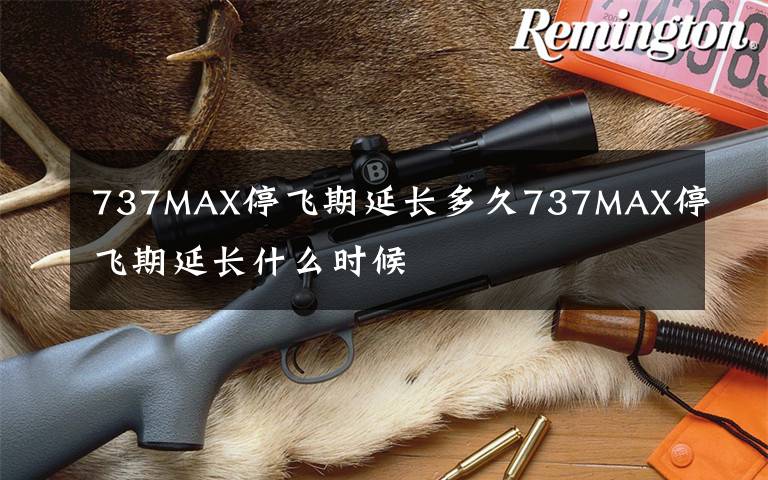 737MAX停飞期延长多久737MAX停飞期延长什么时候文章配图