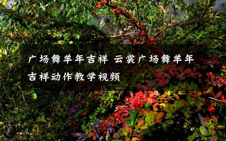 广场舞羊年吉祥 云裳广场舞羊年吉祥动作教学视频