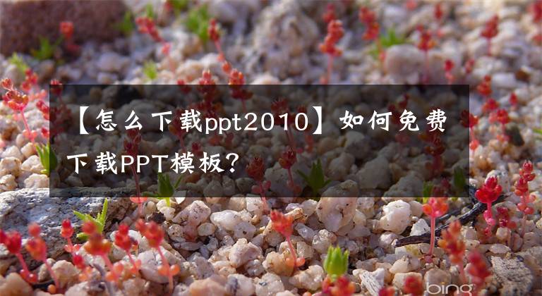 【怎么下载ppt2010】如何免费下载PPT模板？文章配图