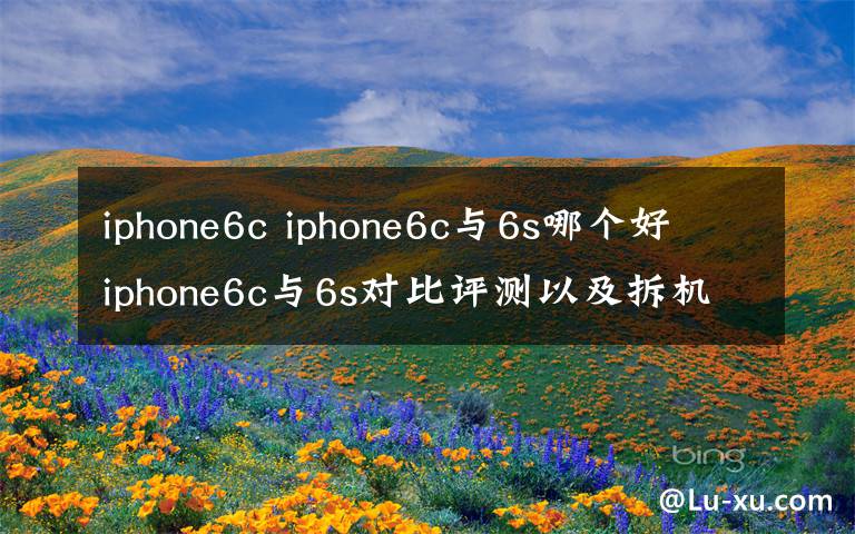 iphone6c iphone6c与6s哪个好 iphone6c与6s对比评测以及拆机介绍文章配图