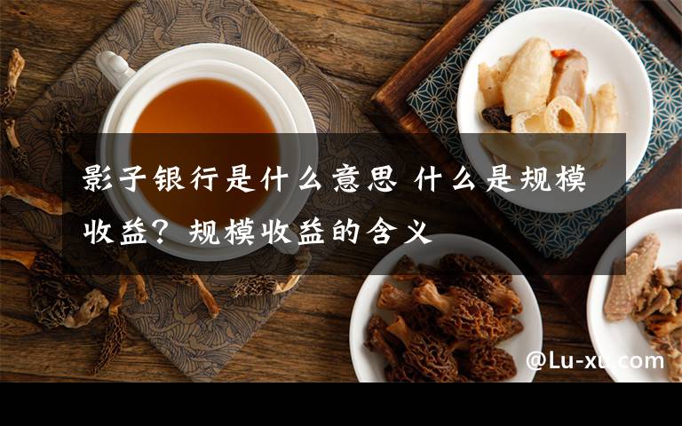 影子银行是什么意思 什么是规模收益？规模收益的含义文章配图