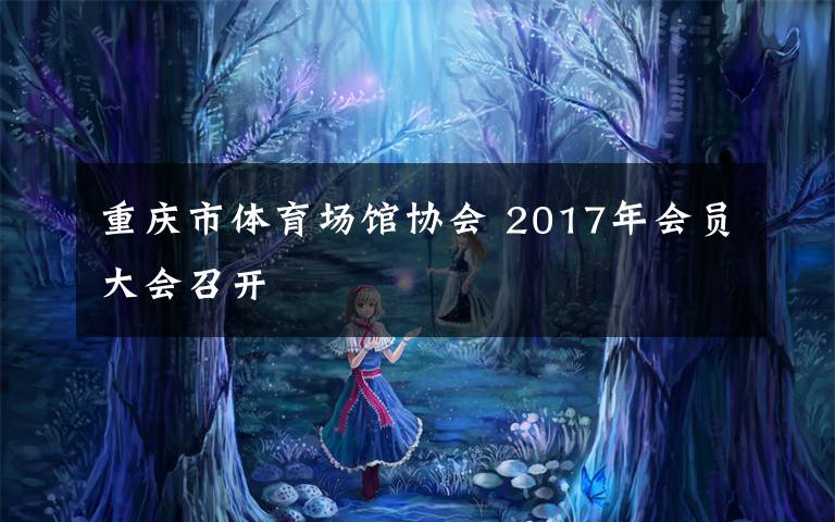 重庆市体育场馆协会 2017年会员大会召开文章配图