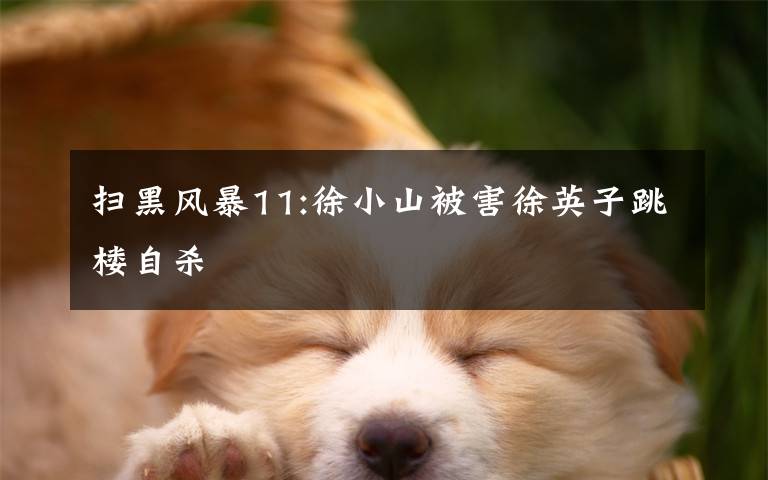 扫黑风暴11:徐小山被害徐英子跳楼自杀文章配图