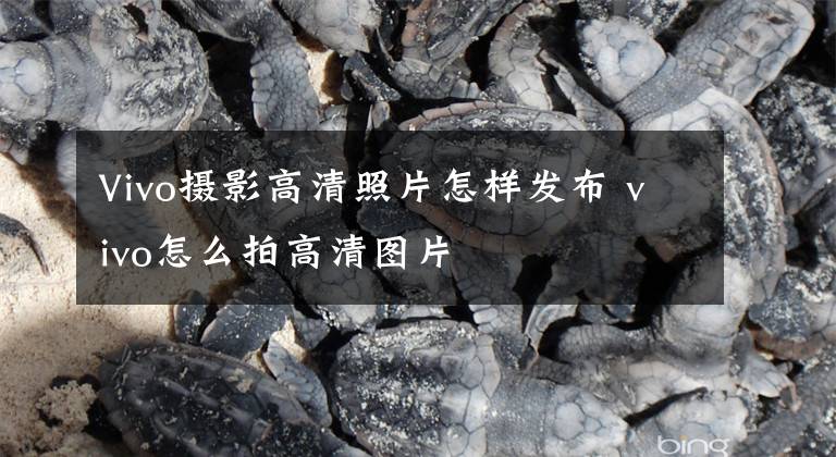 Vivo摄影高清照片怎样发布 vivo怎么拍高清图片文章配图