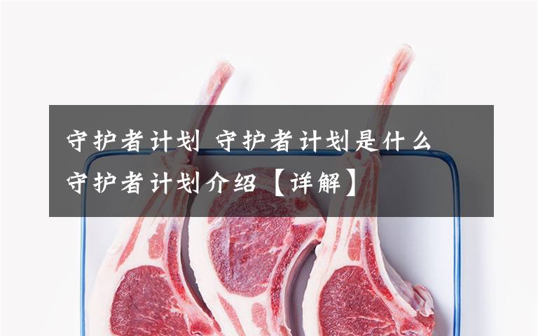 守护者计划 守护者计划是什么 守护者计划介绍【详解】文章配图